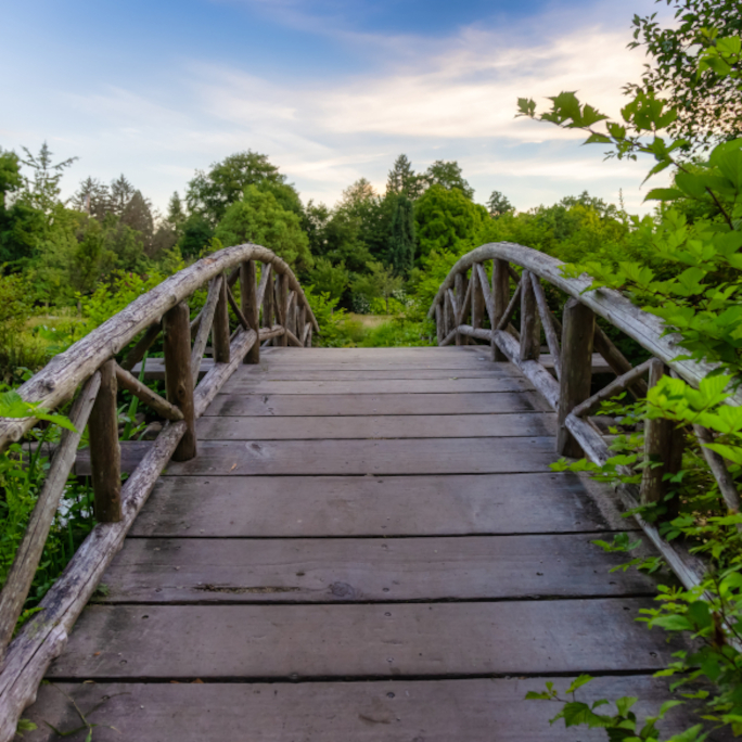 Schema changes without downtime