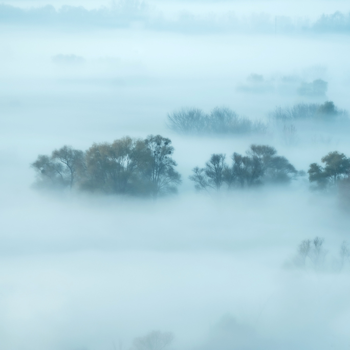 Fog-get that Mist-ery