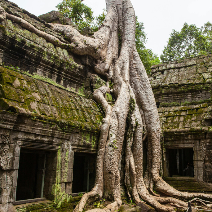 Testen von Legacy Code